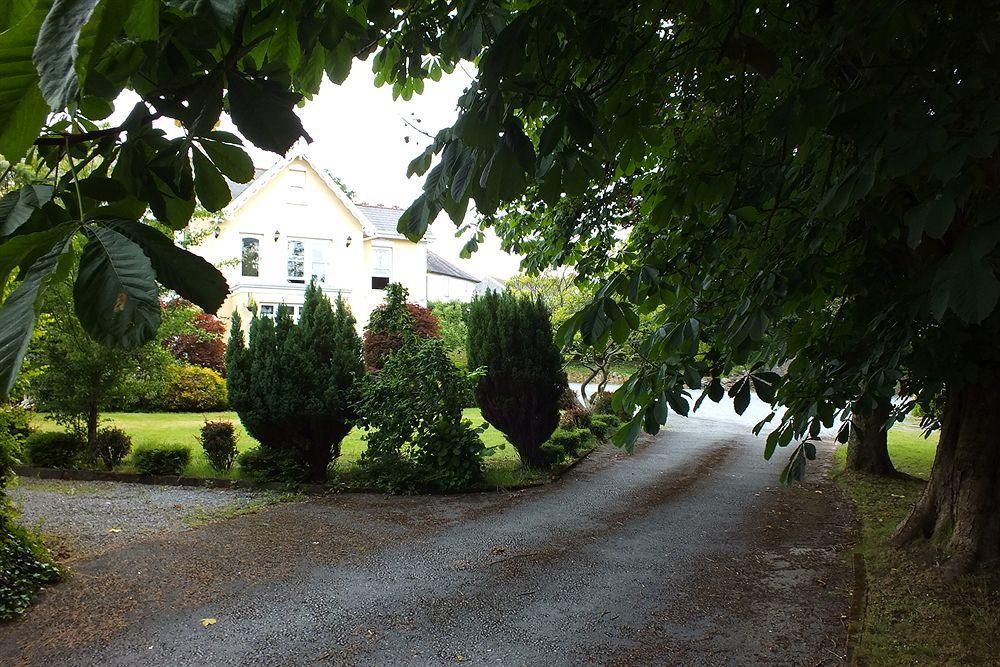 Llwyn Hotel