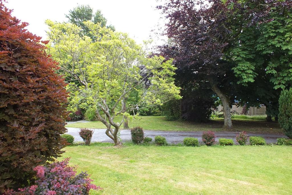 Llwyn Hotel Llanelli