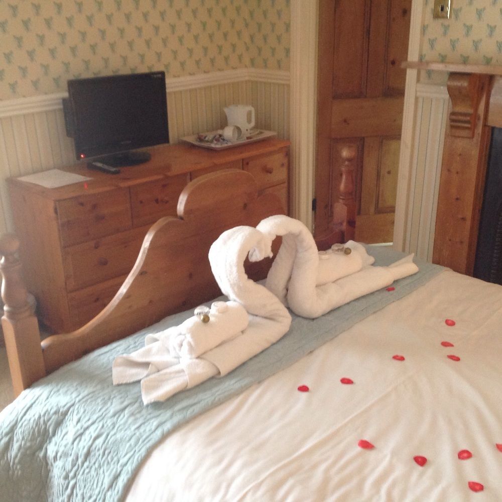 Hotel Llwyn